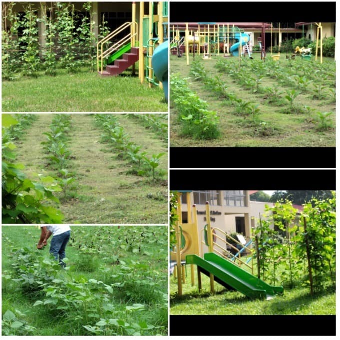 ATHS campus facilities