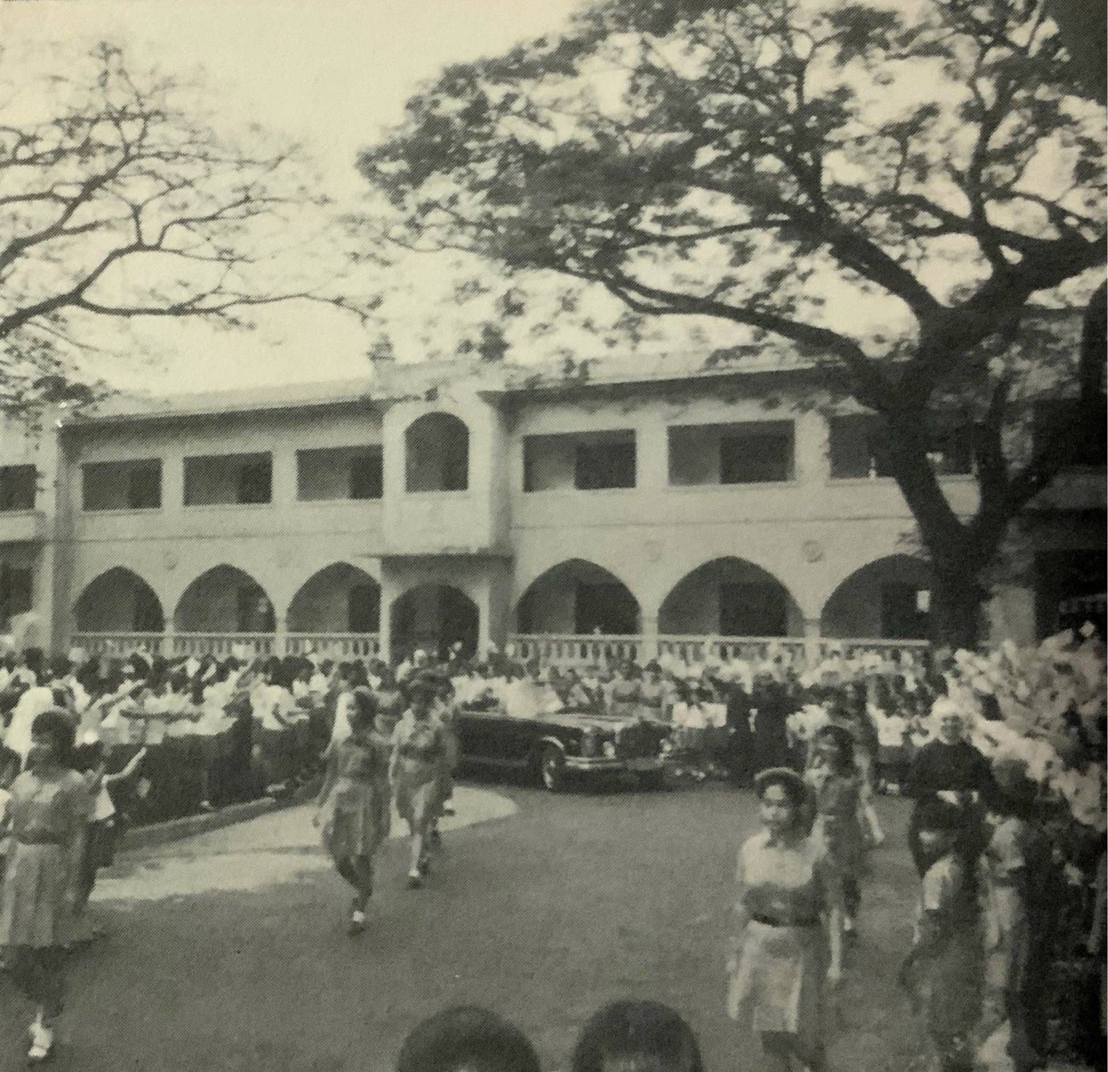 Assumption Alumnae Association community gathering